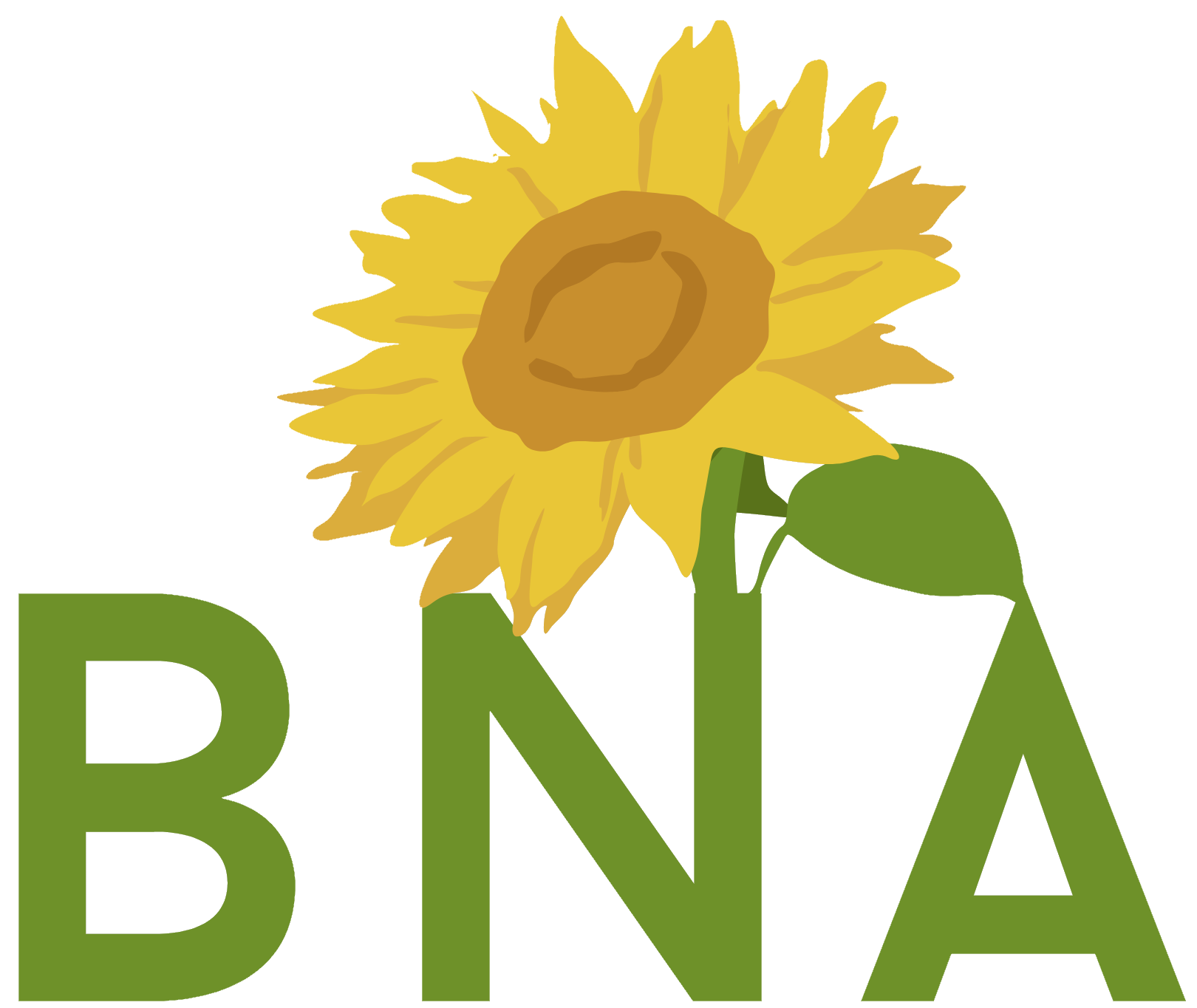 bna housing ltd